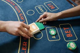 333bet download